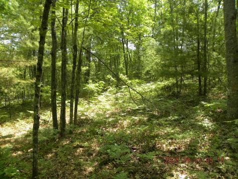 00 Bridge Street Newfield ME 04056