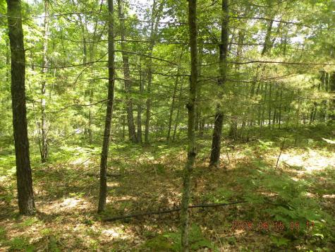 00 Bridge Street Newfield ME 04056