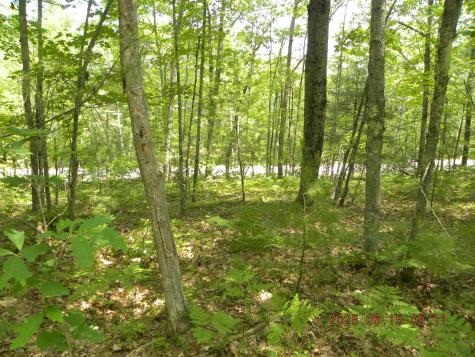 00 Bridge Street Newfield ME 04056