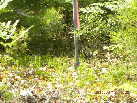 00 Bridge Street Newfield ME 04056