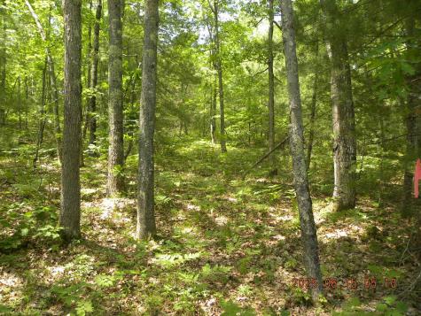 00 Bridge Street Newfield ME 04056