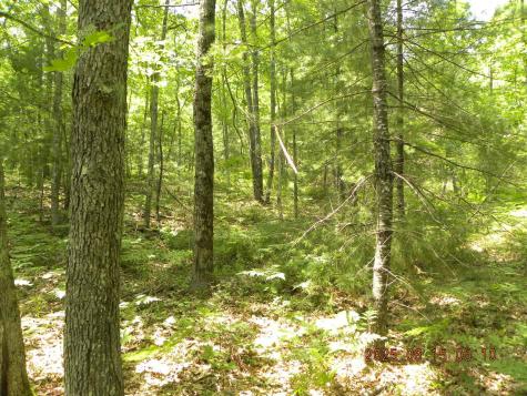 00 Bridge Street Newfield ME 04056