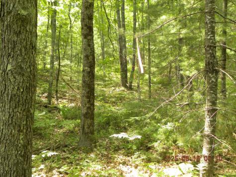 00 Bridge Street Newfield ME 04056