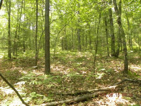 00 Bridge Street Newfield ME 04056