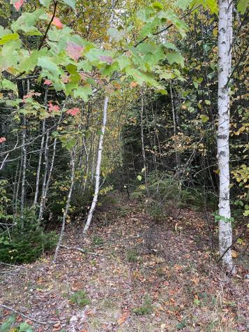 M1978l91g Airline Road Crawford ME 04694