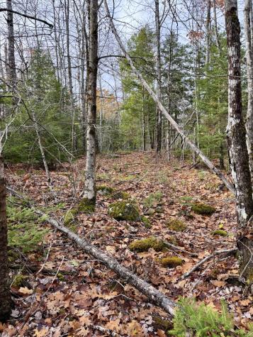 0 Millvale Road Bucksport ME 04416
