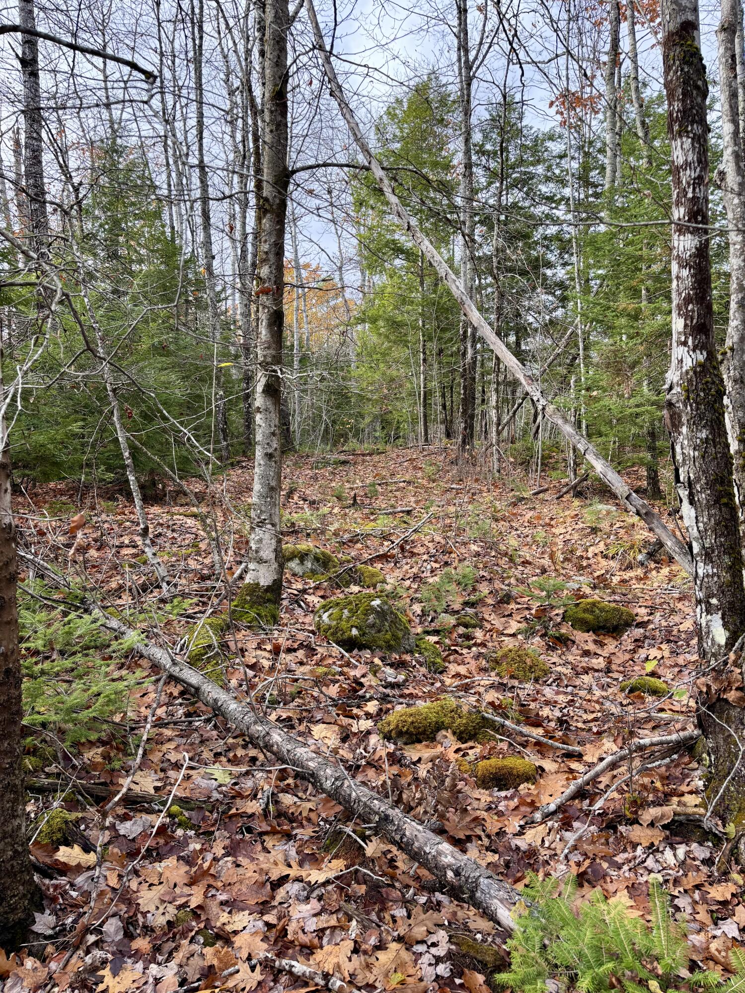 0 Millvale Road Bucksport ME 04416