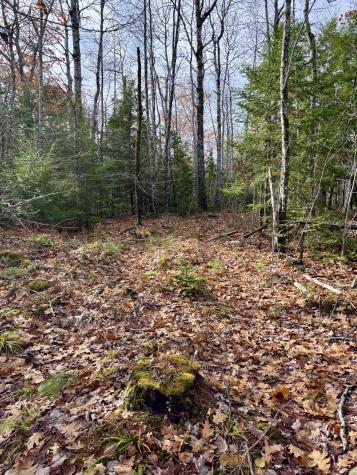 0 Millvale Road Bucksport ME 04416