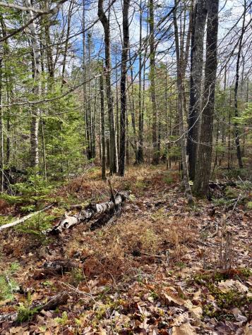 0 Millvale Road Bucksport ME 04416