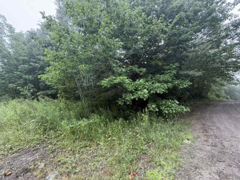 P/o M7 L32 Huff Corner Road Wellington ME 04942