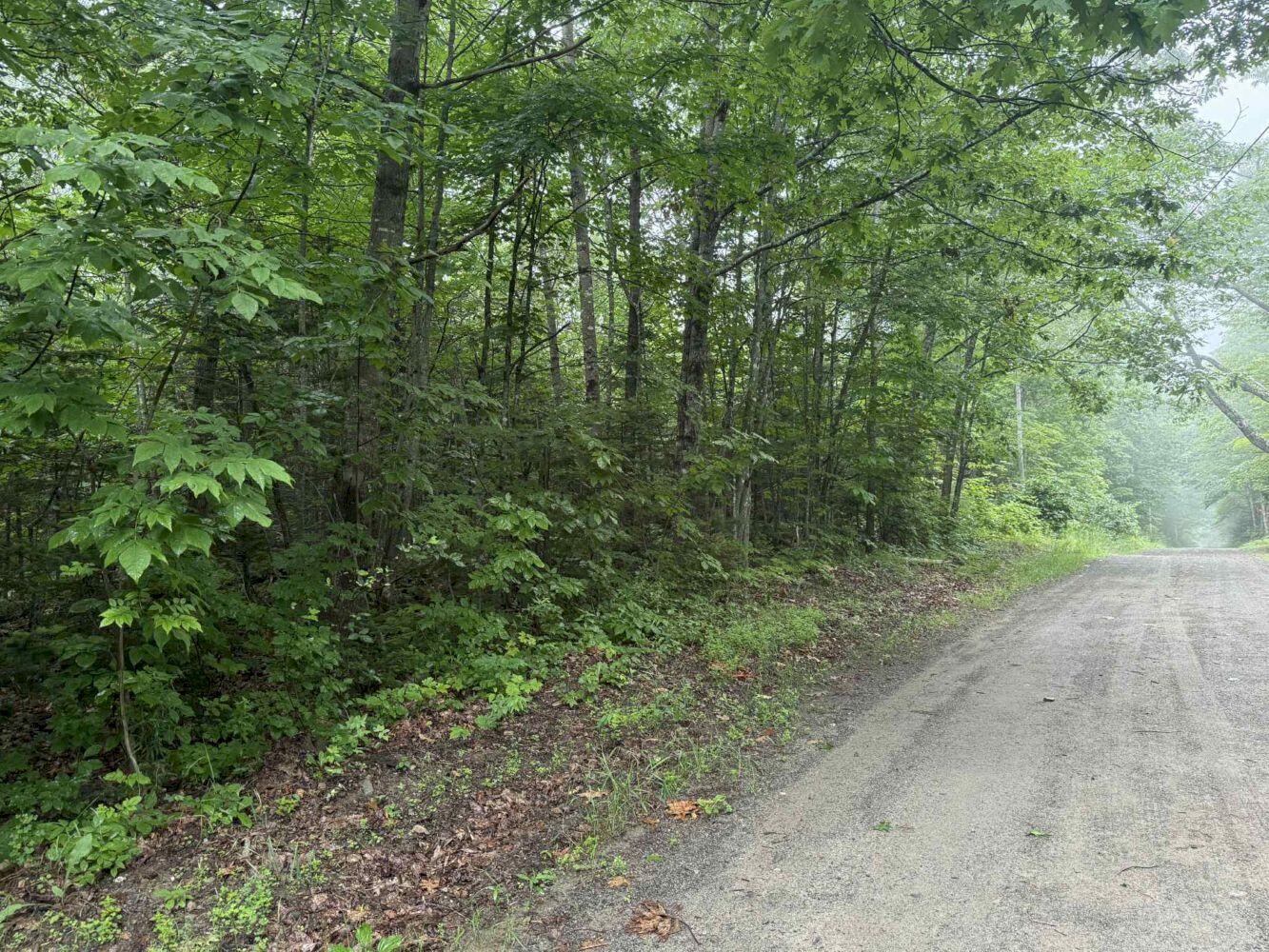 P/o M7 L32 Huff Corner Road Wellington ME 04942