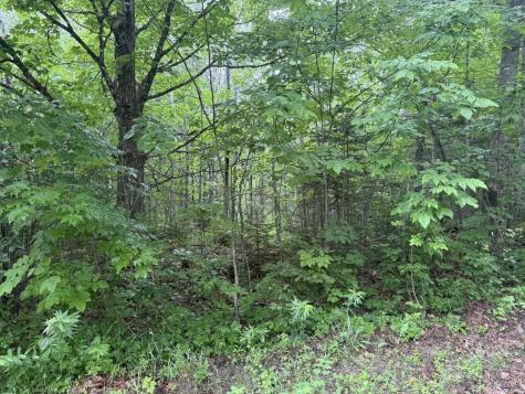 P/o M7 L32 Huff Corner Road Wellington ME 04942