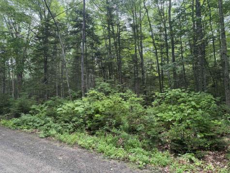 P/o M7 L32 Huff Corner Road Wellington ME 04942