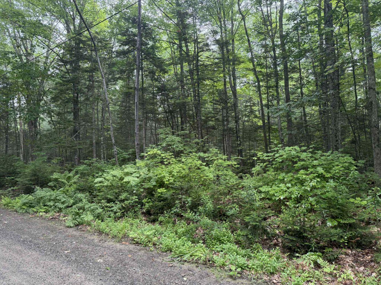 P/o M7 L32 Huff Corner Road Wellington ME 04942