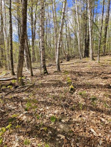 Lot 23 Edes Brook Road Temple ME 04984