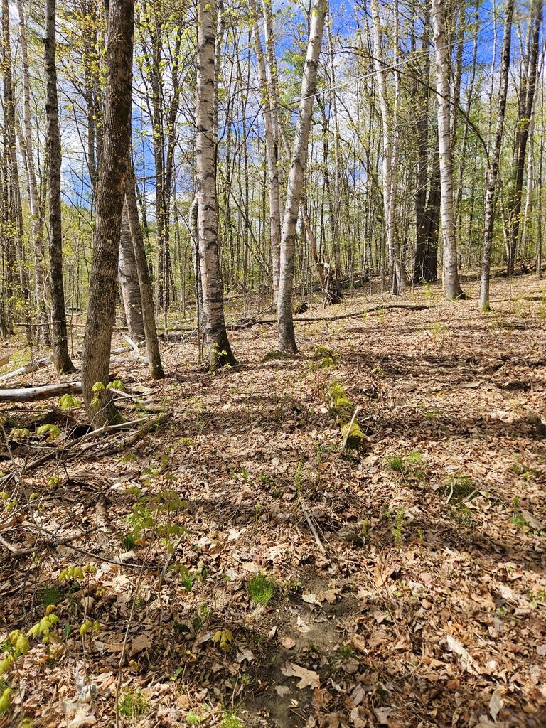 Lot 23 Edes Brook Road Temple ME 04984