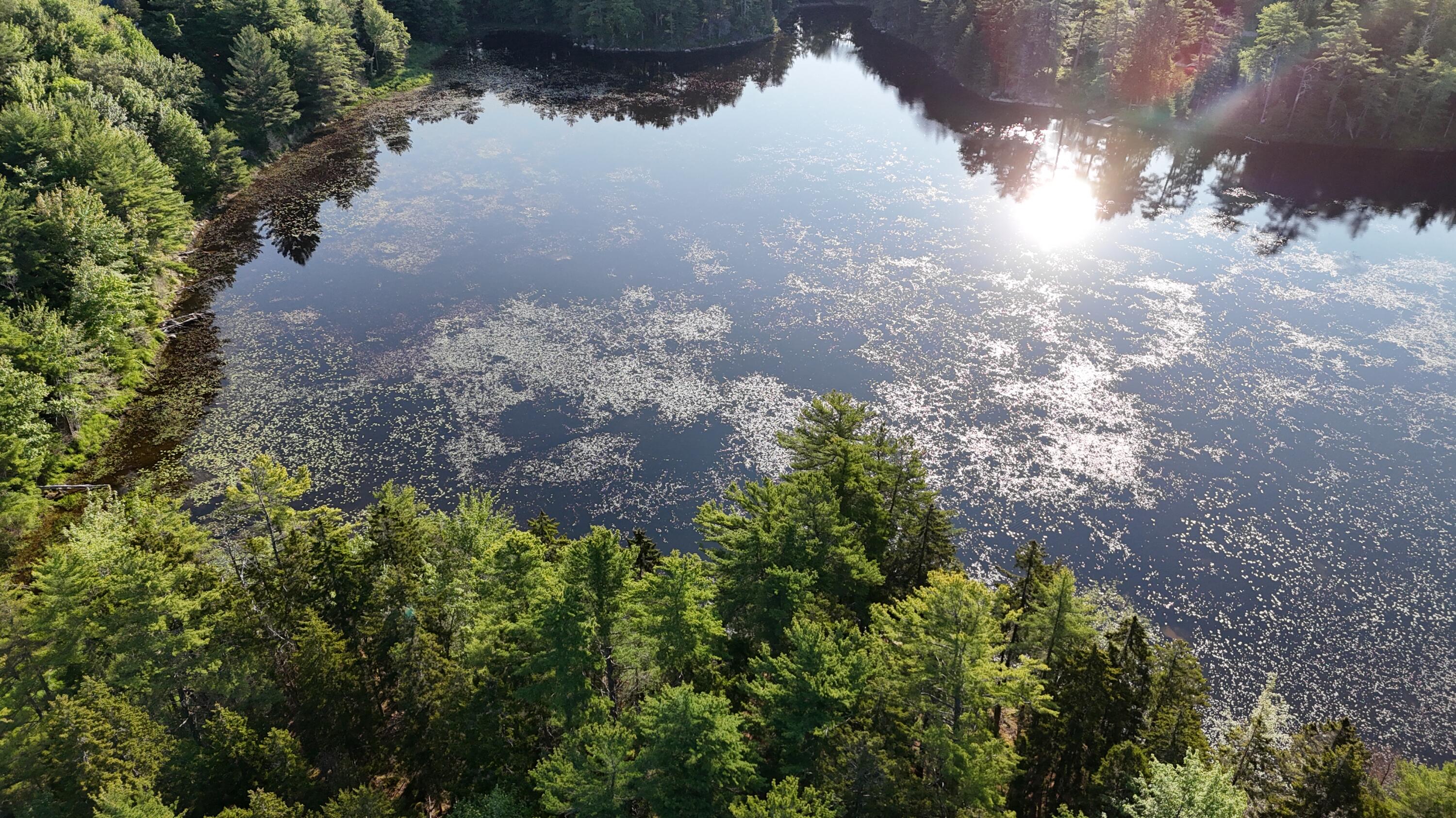 0 Red Spruce Way Mount Desert ME 04660