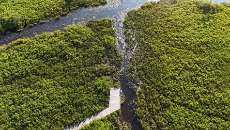 0 Red Spruce Way Mount Desert ME 04660