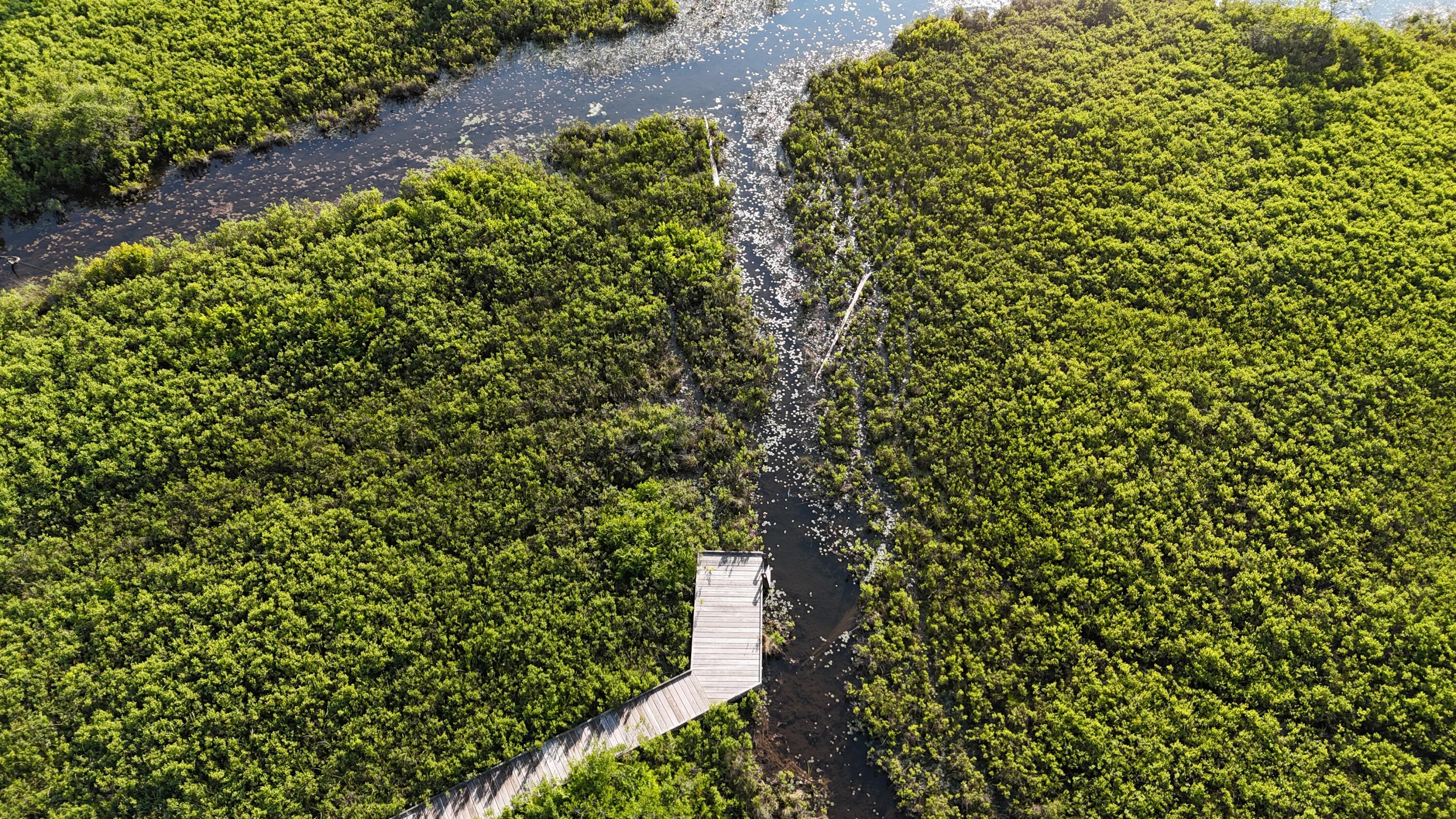 0 Red Spruce Way Mount Desert ME 04660