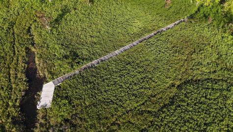 0 Red Spruce Way Mount Desert ME 04660