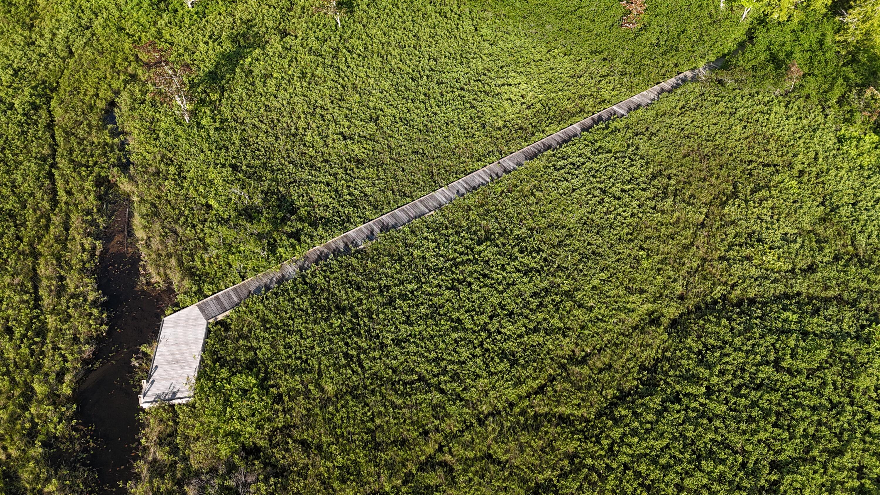 0 Red Spruce Way Mount Desert ME 04660