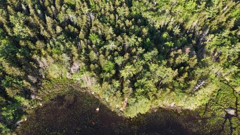 0 Red Spruce Way Mount Desert ME 04660