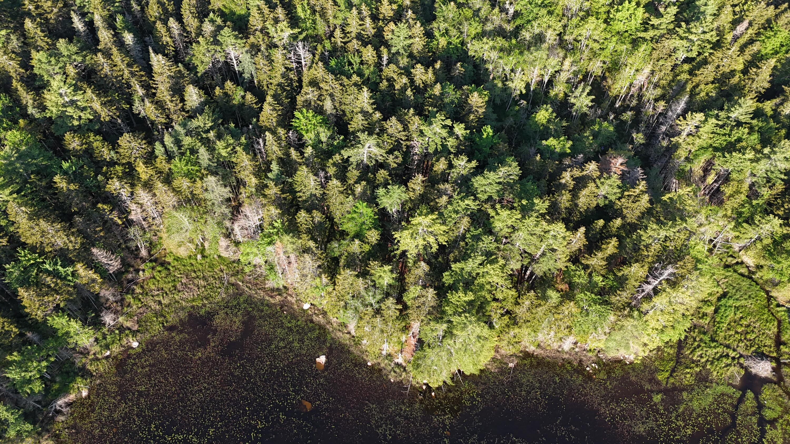 0 Red Spruce Way Mount Desert ME 04660