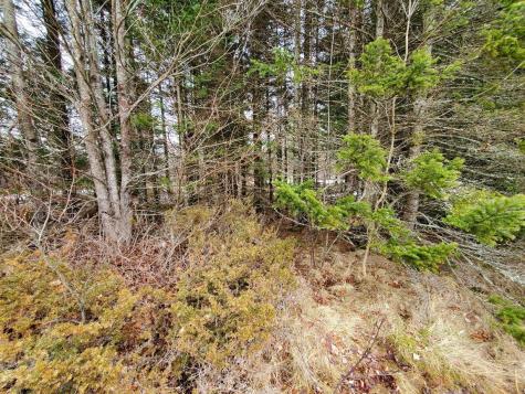 0 Moody Mills Road Corinna ME 04928