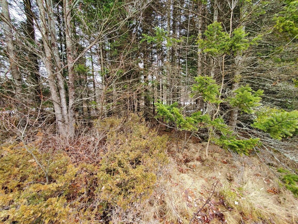 0 Moody Mills Road Corinna ME 04928