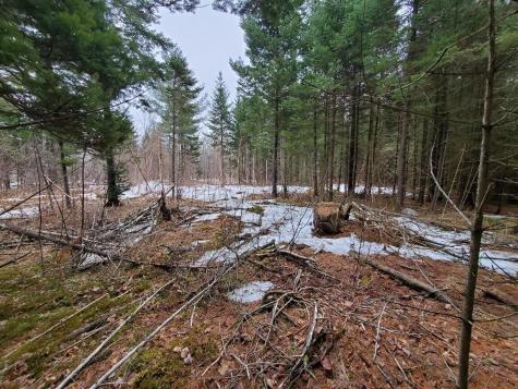 0 Moody Mills Road Corinna ME 04928