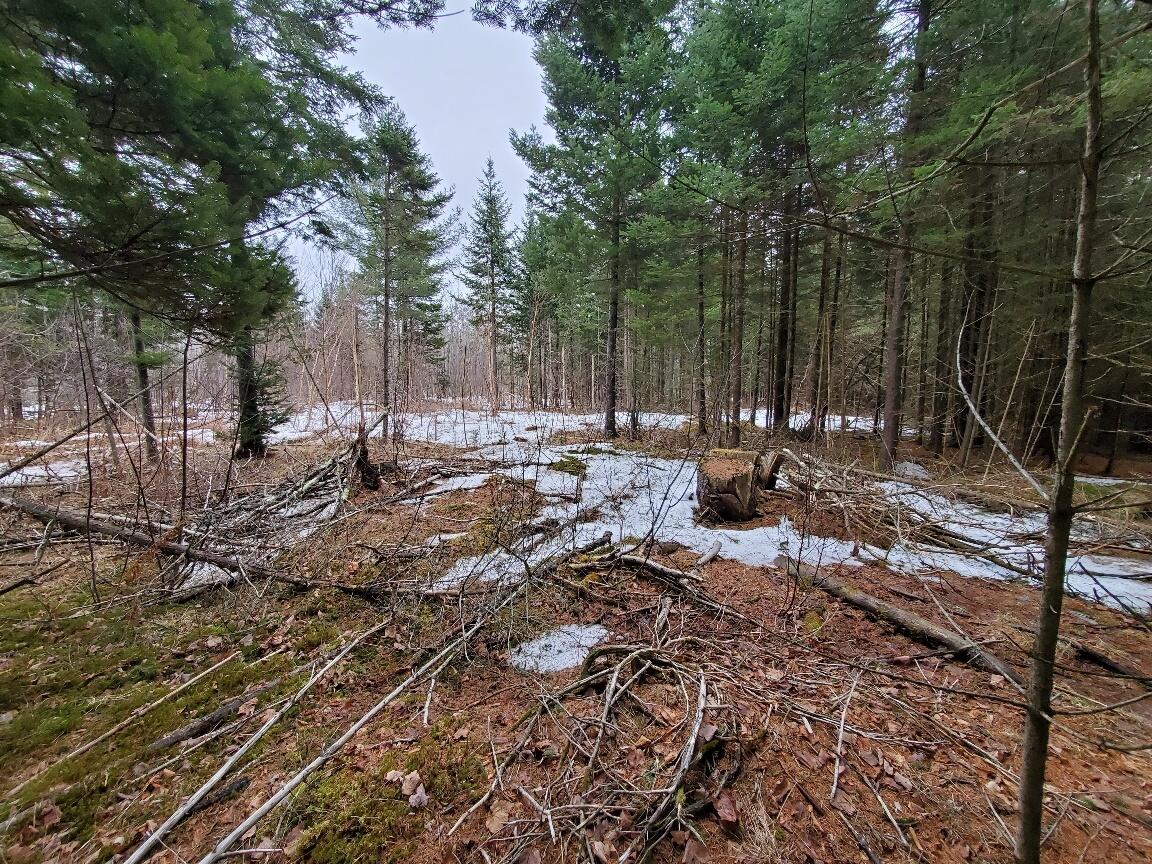 0 Moody Mills Road Corinna ME 04928