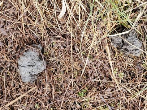 0 Moody Mills Road Corinna ME 04928