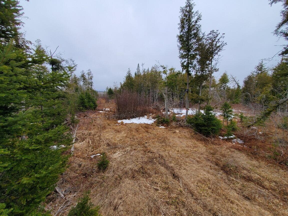 0 Moody Mills Road Corinna ME 04928