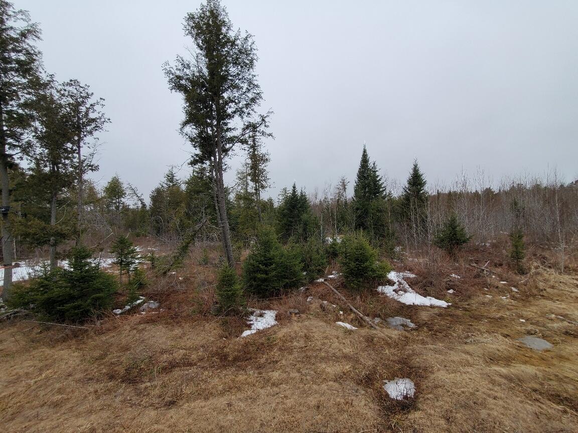 0 Moody Mills Road Corinna ME 04928