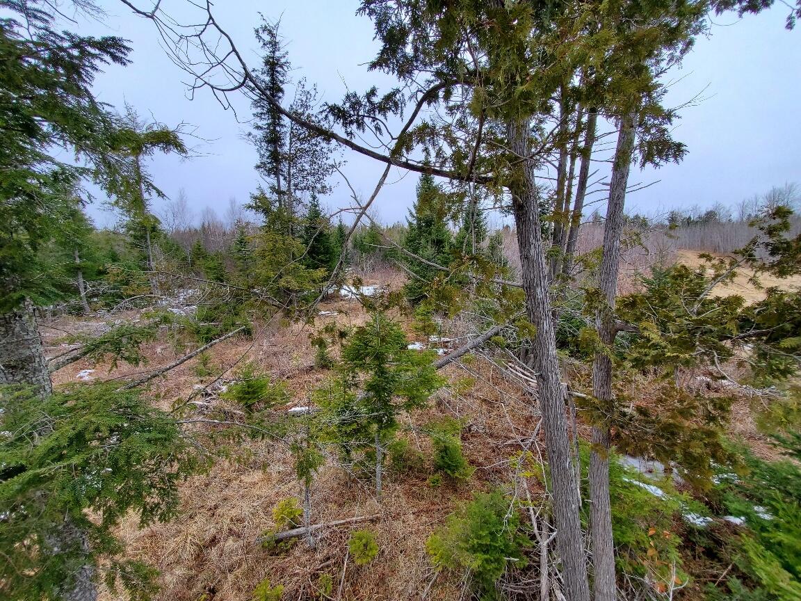 0 Moody Mills Road Corinna ME 04928