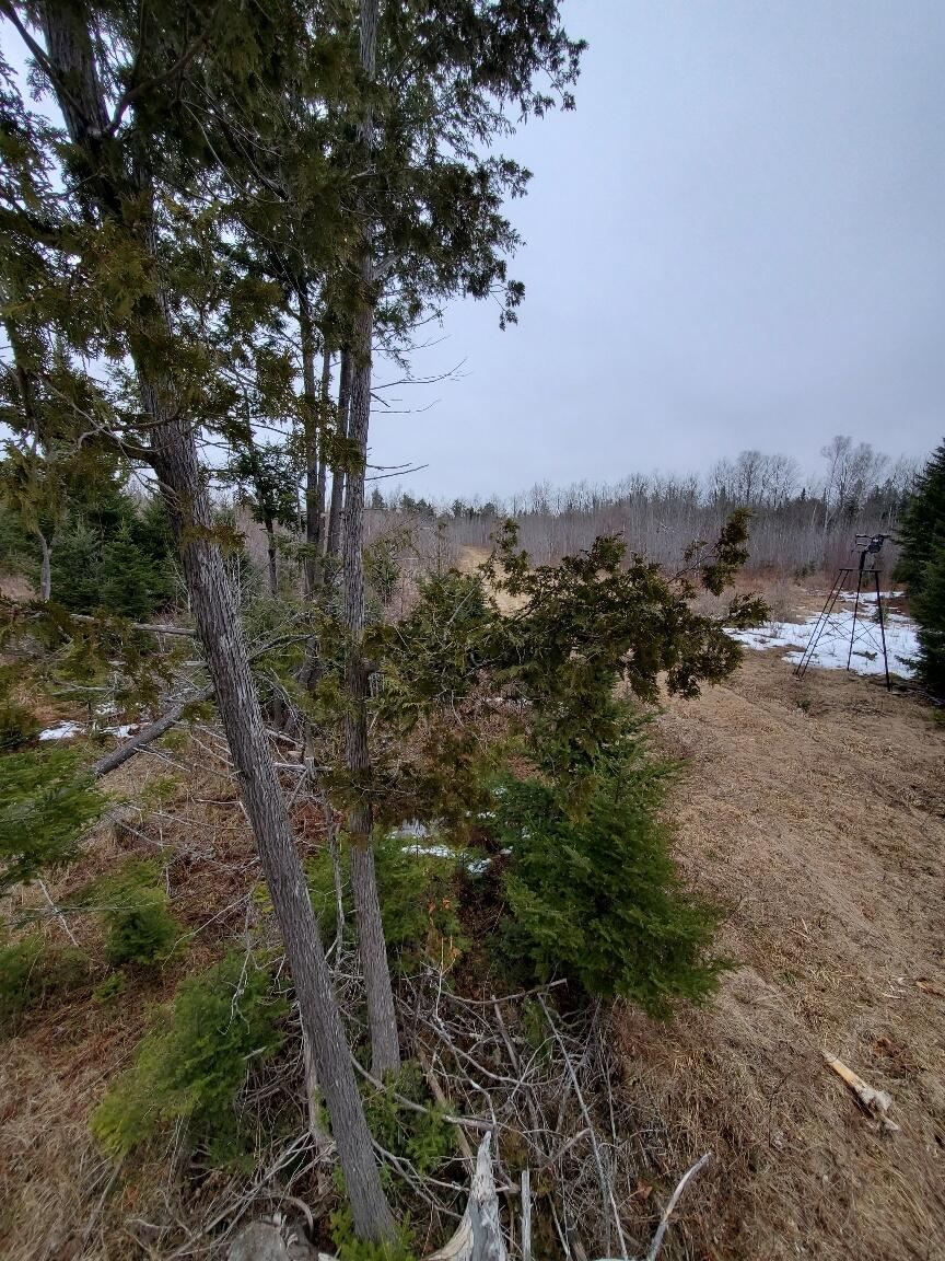 0 Moody Mills Road Corinna ME 04928