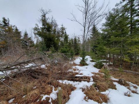 0 Moody Mills Road Corinna ME 04928