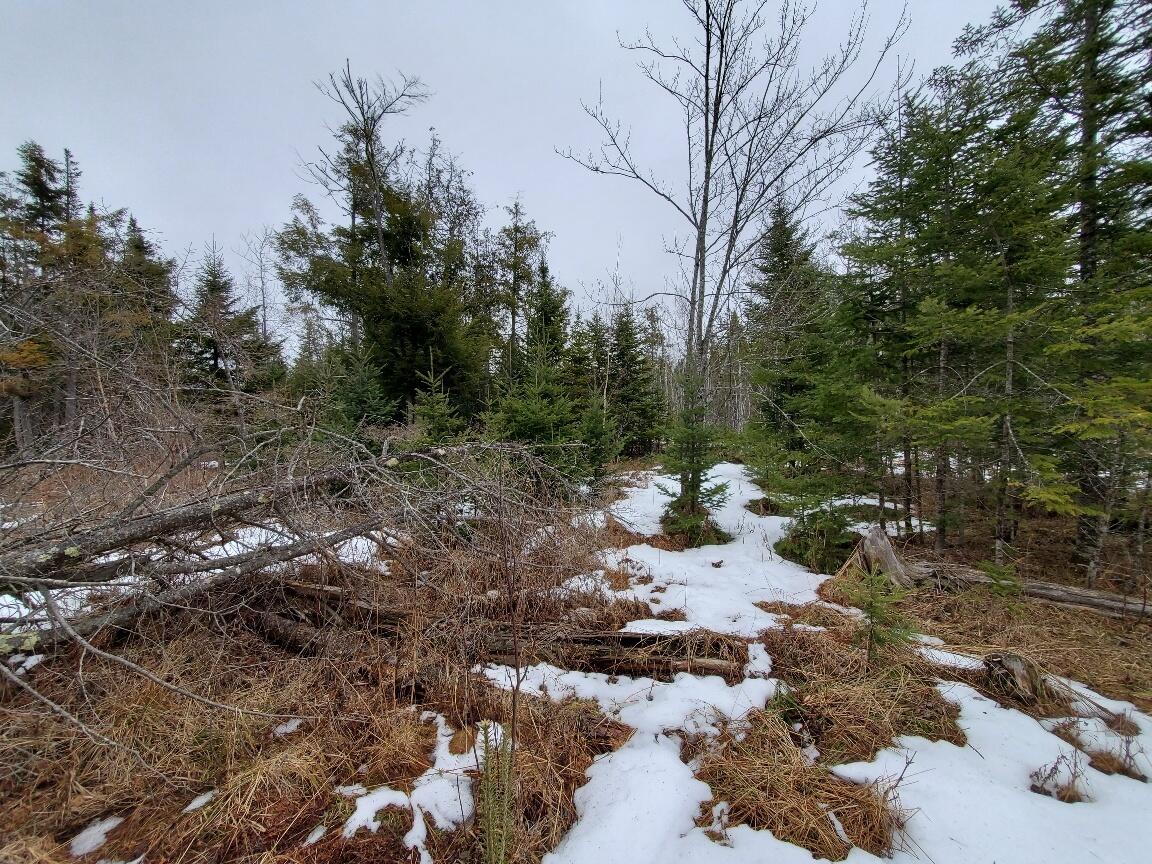 0 Moody Mills Road Corinna ME 04928