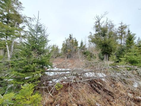 0 Moody Mills Road Corinna ME 04928