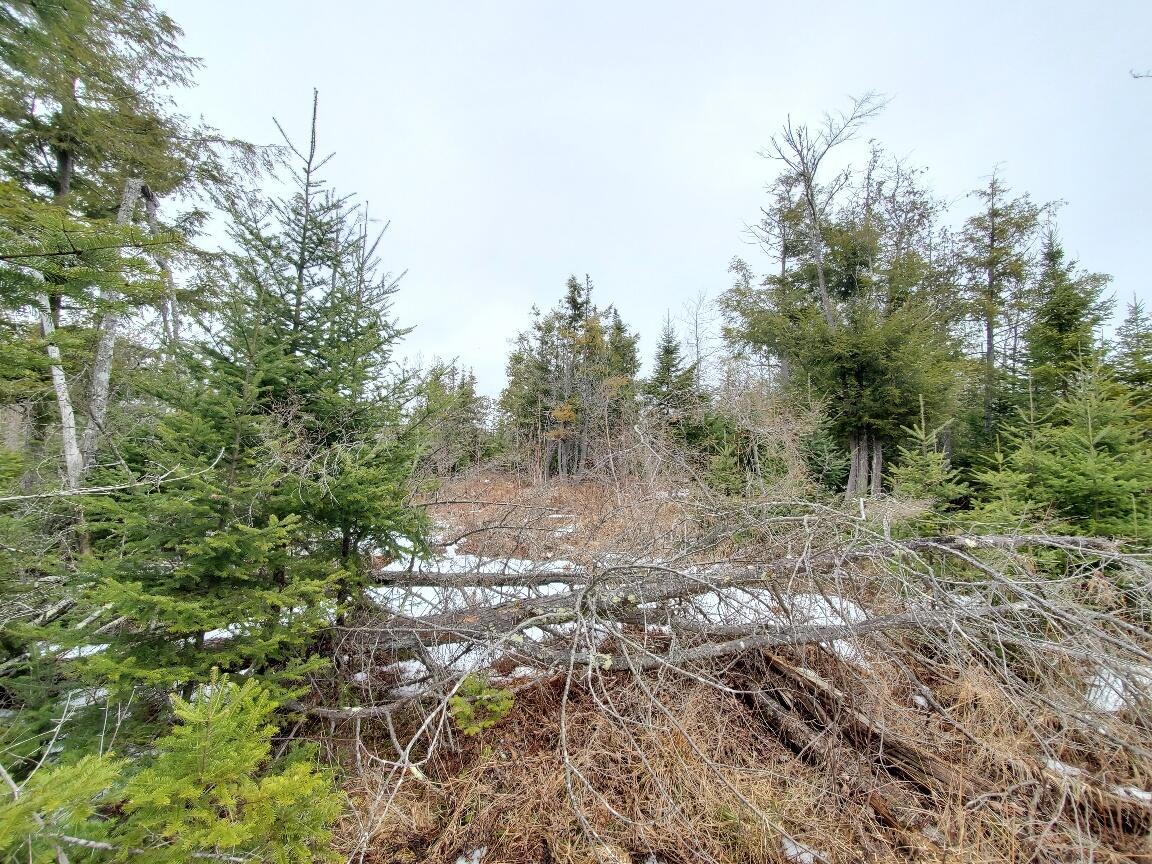 0 Moody Mills Road Corinna ME 04928