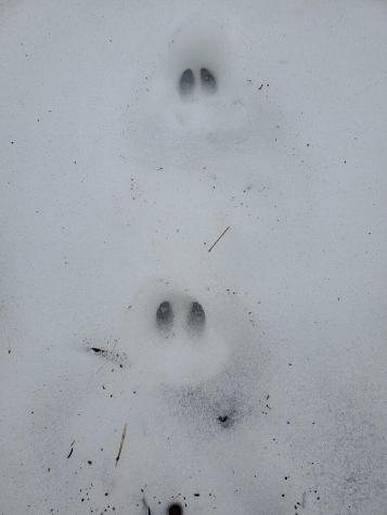 0 Moody Mills Road Corinna ME 04928