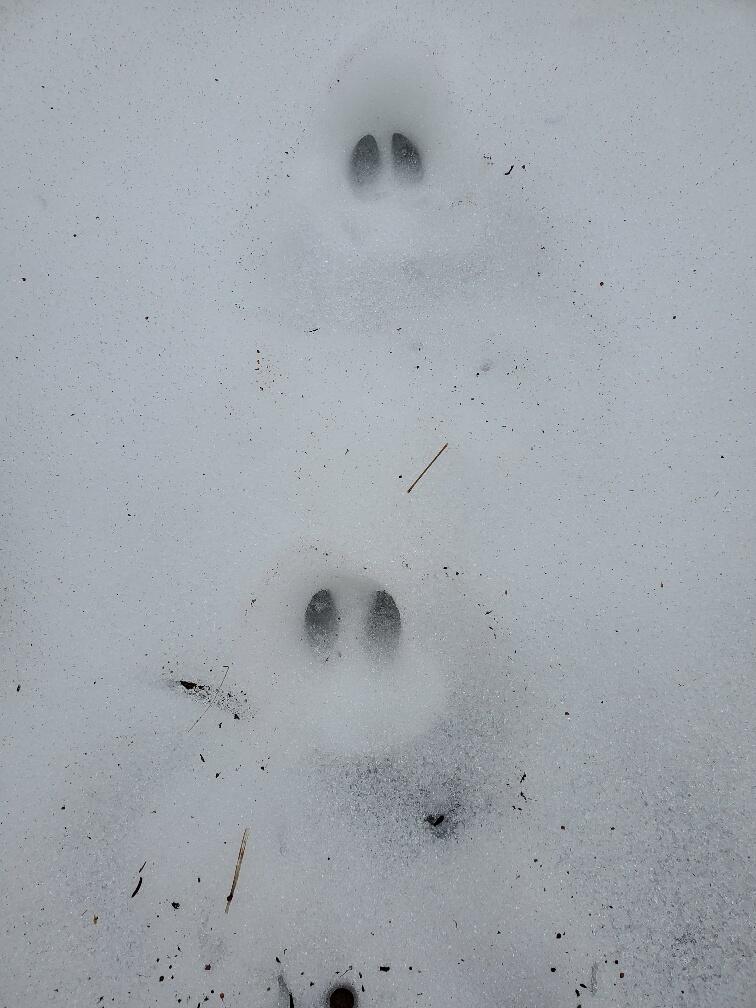 0 Moody Mills Road Corinna ME 04928