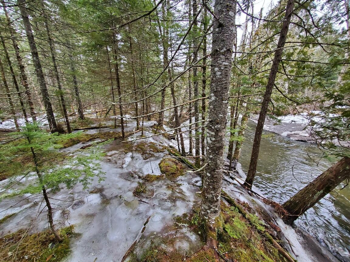 0 Moody Mills Road Corinna ME 04928