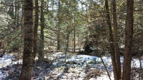 0 Moody Mills Road Corinna ME 04928