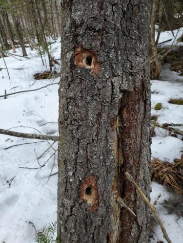 0 Moody Mills Road Corinna ME 04928