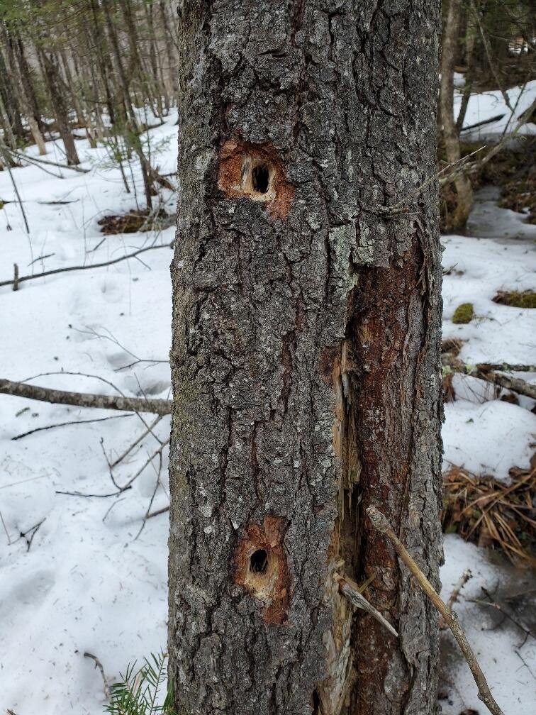 0 Moody Mills Road Corinna ME 04928