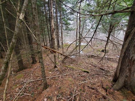 0 Moody Mills Road Corinna ME 04928