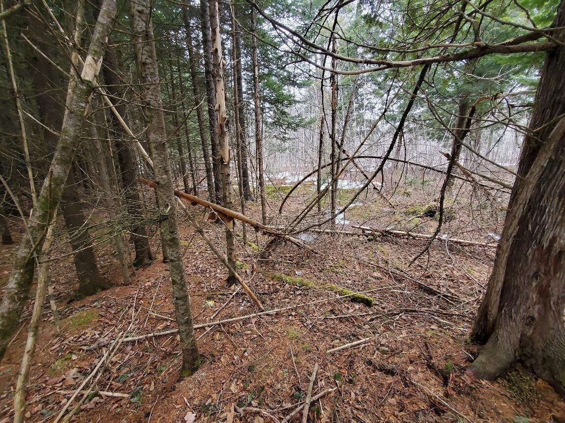 0 Moody Mills Road Corinna ME 04928