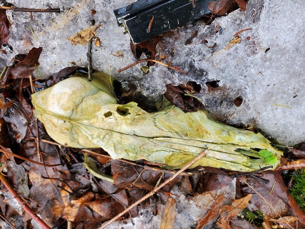 0 Moody Mills Road Corinna ME 04928