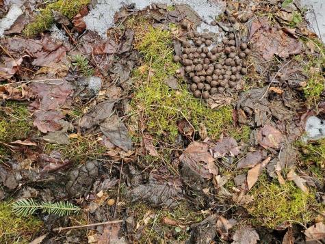 0 Moody Mills Road Corinna ME 04928